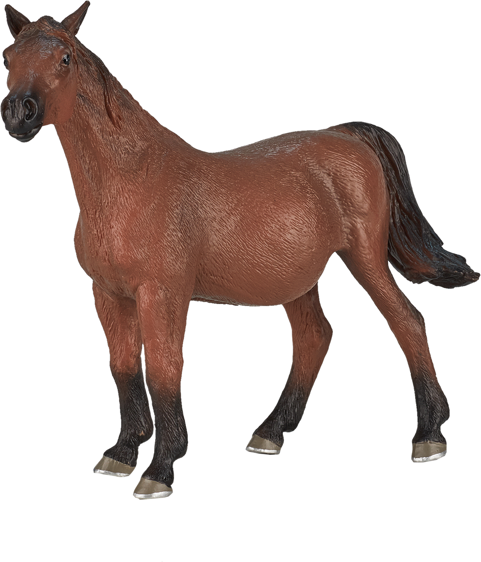 Geheim brandwond Vijftig Mojo Horses speelgoed paard Arabische Merrie Drachtig - 387194 kopen?