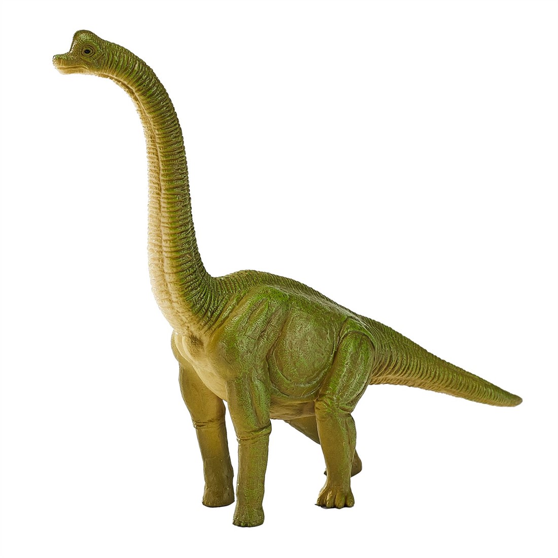 niemand Verknald Bekritiseren Mojo speelgoed dinosaurus Brachiosaurus groen - 387212 kopen?