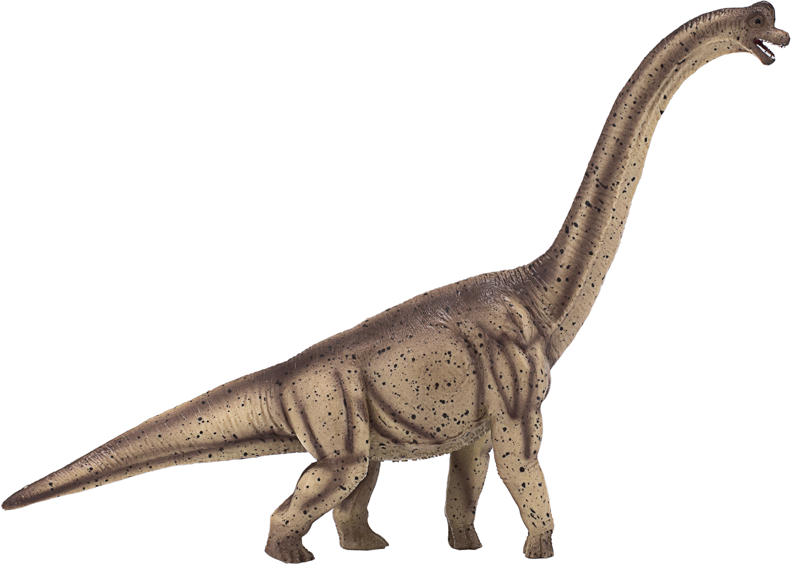 Verrast linnen Iedereen Mojo speelgoed dinosaurus Deluxe Brachiosaurus 387381 kopen?